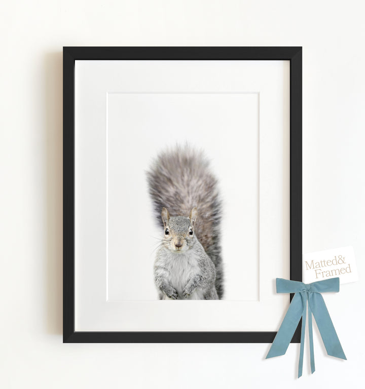 Baby Squirrel Framed Art