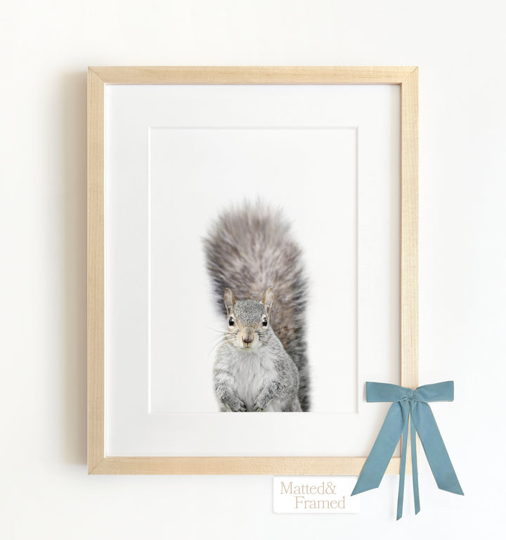 Baby Squirrel Framed Art