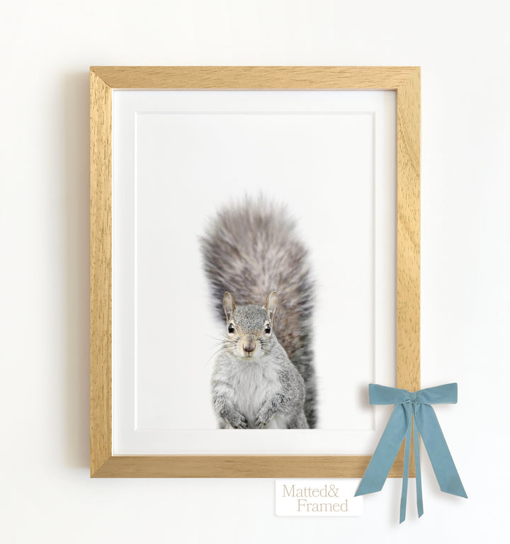 Baby Squirrel Framed Art