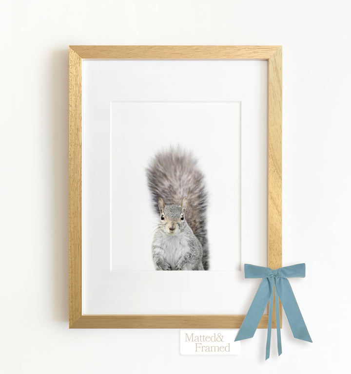 Baby Squirrel Framed Art