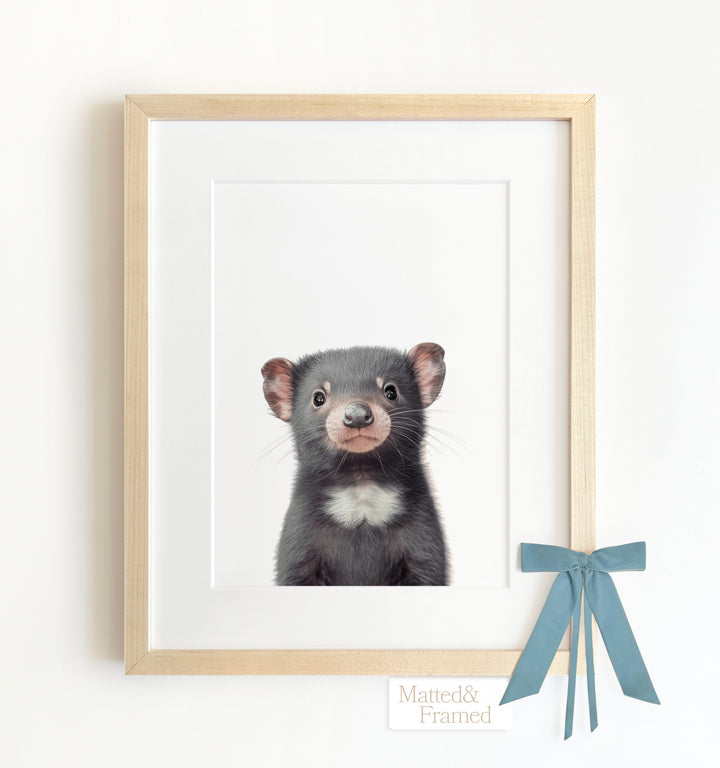 Baby Tasmanian Devil Framed Art