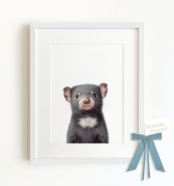 Baby Tasmanian Devil Framed Art