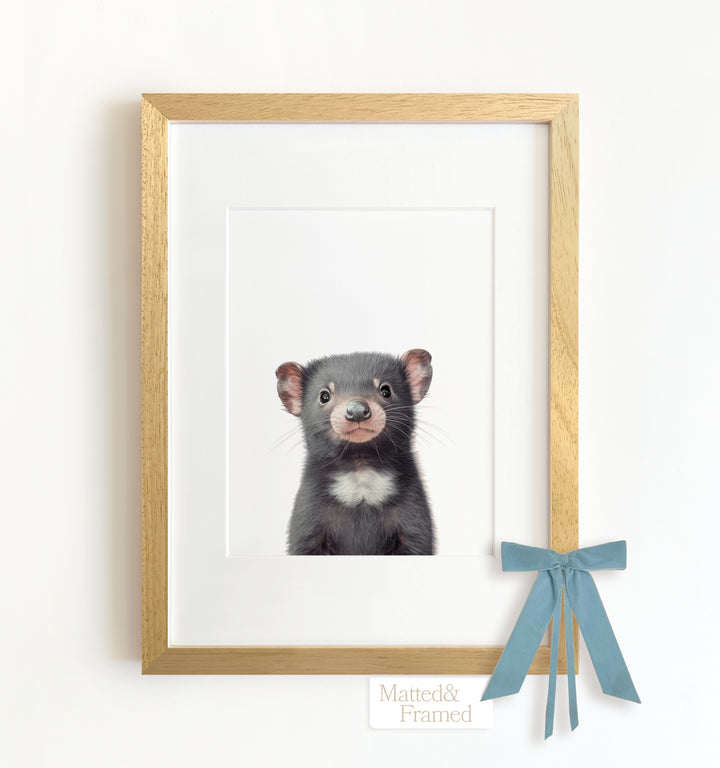 Baby Tasmanian Devil Framed Art