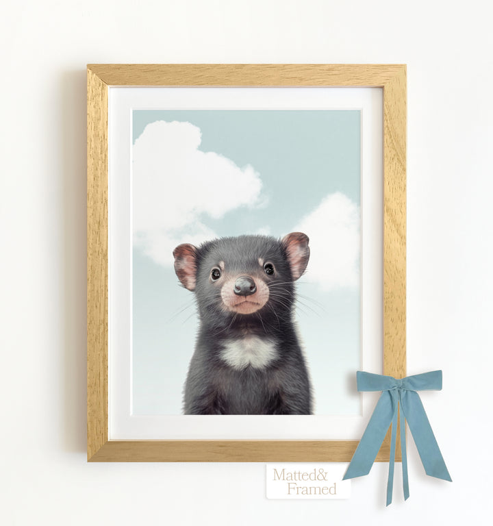 Baby Tasmanian Devil Framed Art