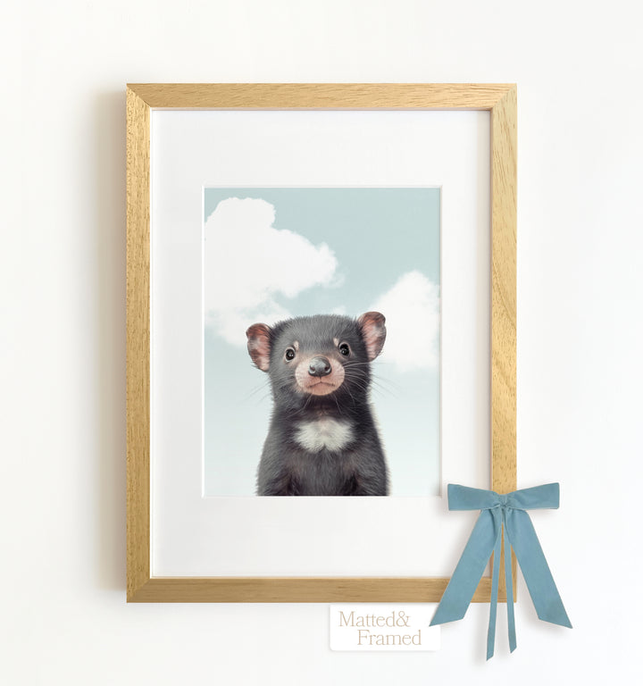 Baby Tasmanian Devil Framed Art