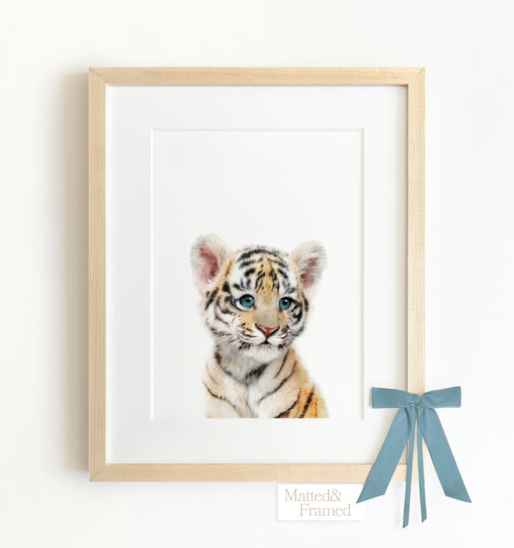 Baby Tiger No. 2 Framed Art