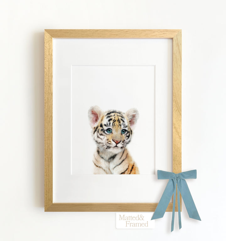 Baby Tiger No. 2 Framed Art