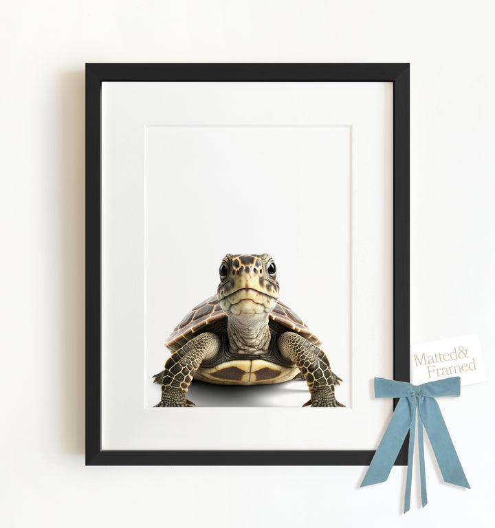 Baby Turtle Framed Art