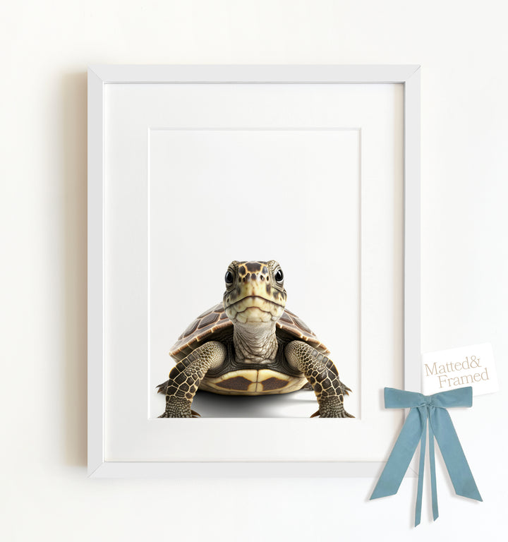 Baby Turtle Framed Art