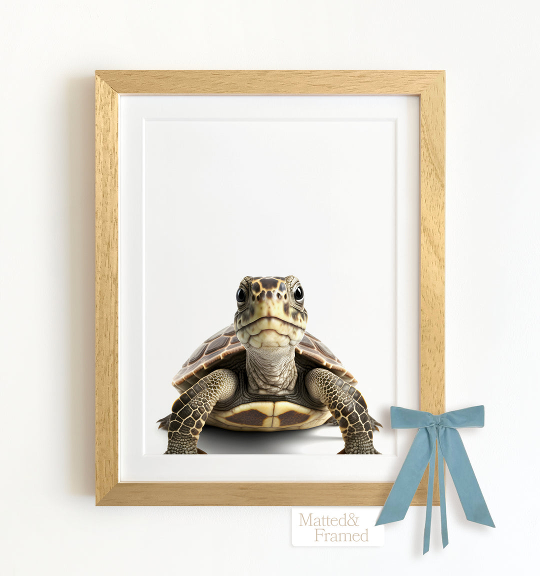 Baby Turtle Framed Art