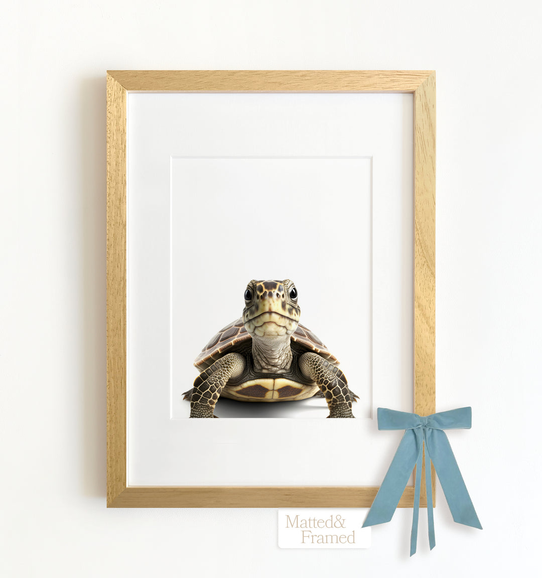 Baby Turtle Framed Art