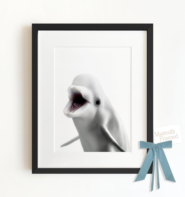 Baby Beluga Whale Framed Art