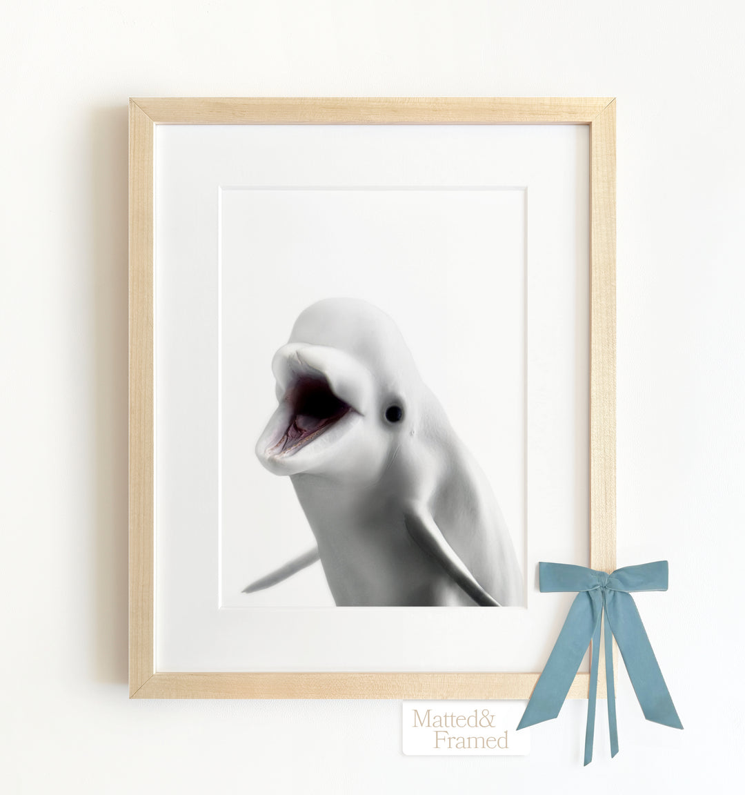 Baby Beluga Whale Framed Art