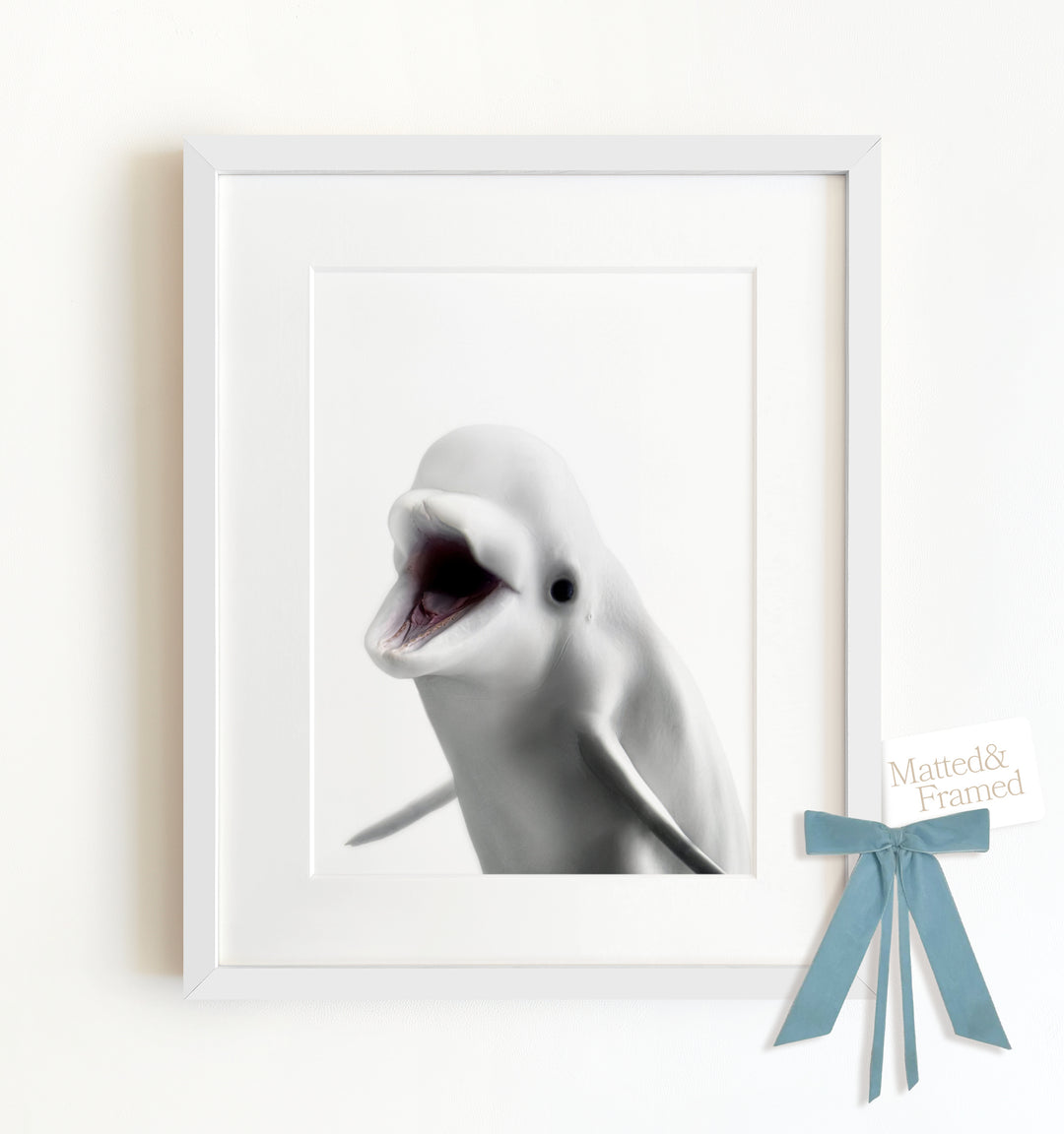 Baby Beluga Whale Framed Art