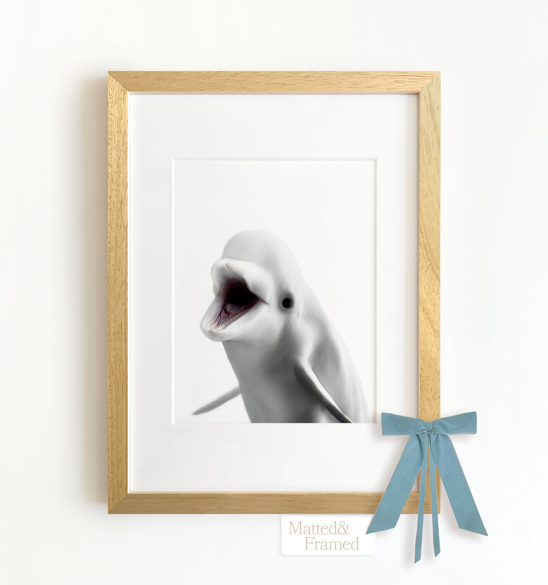 Baby Beluga Whale Framed Art