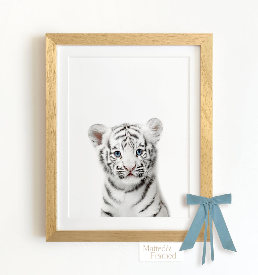 Baby White Tiger Framed Art