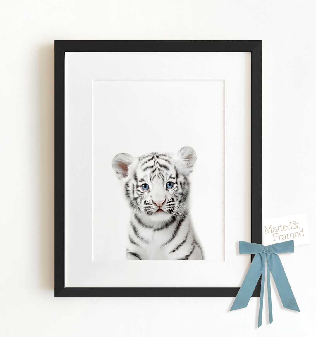 Baby White Tiger Framed Art