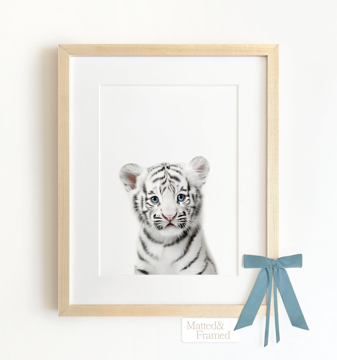 Baby White Tiger Framed Art