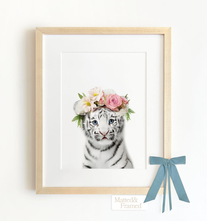 Baby White Tiger Framed Art