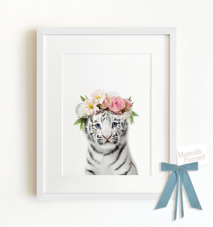 Baby White Tiger Framed Art