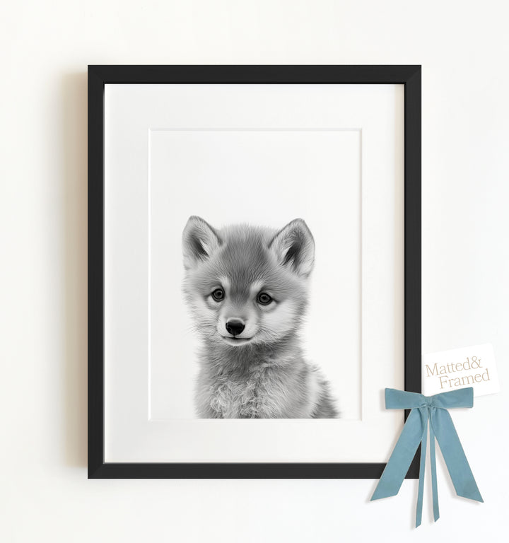 Baby Wolf Framed Art