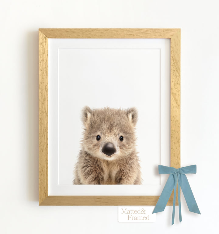 Baby Wombat Framed Art