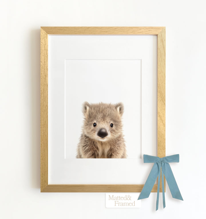 Baby Wombat Framed Art