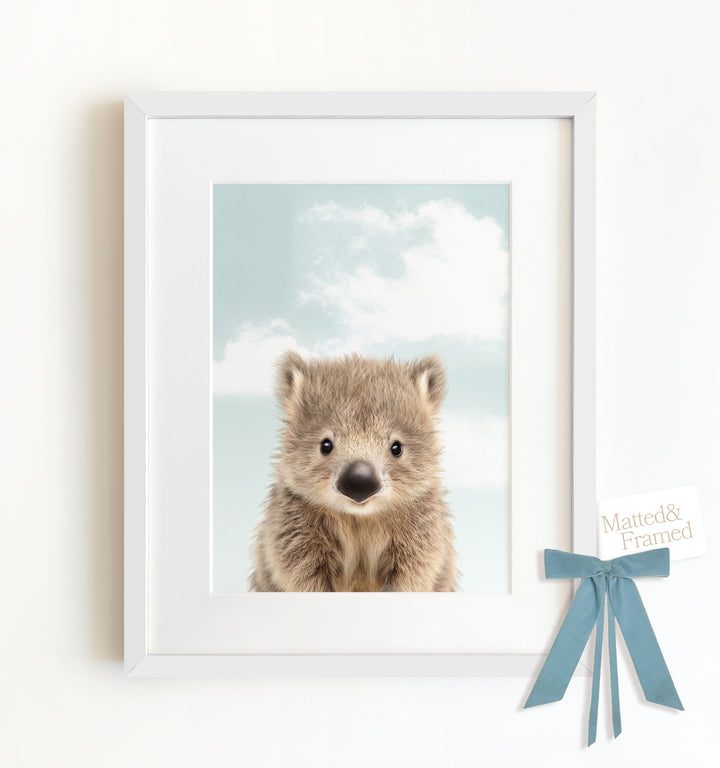 Baby Wombat Framed Art