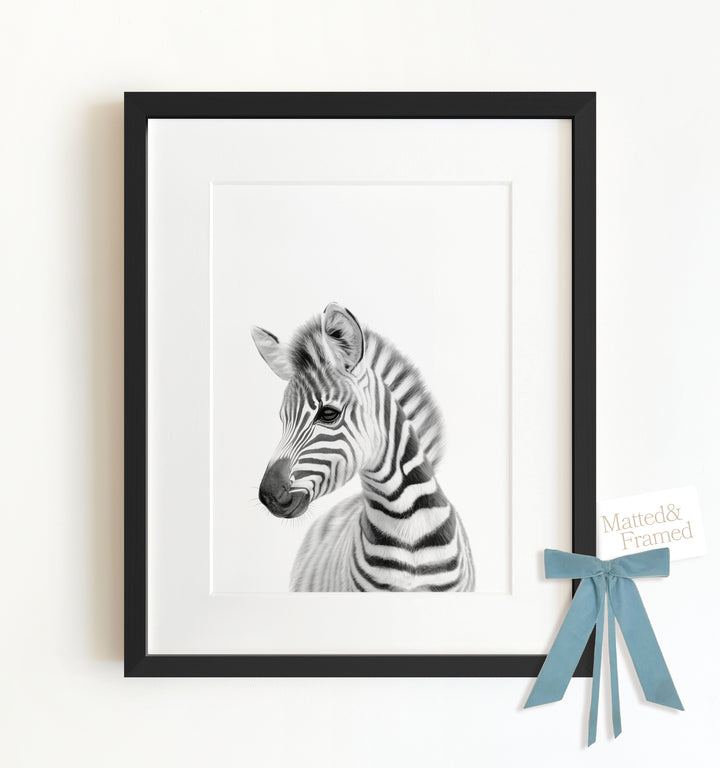 Baby Zebra Framed Art