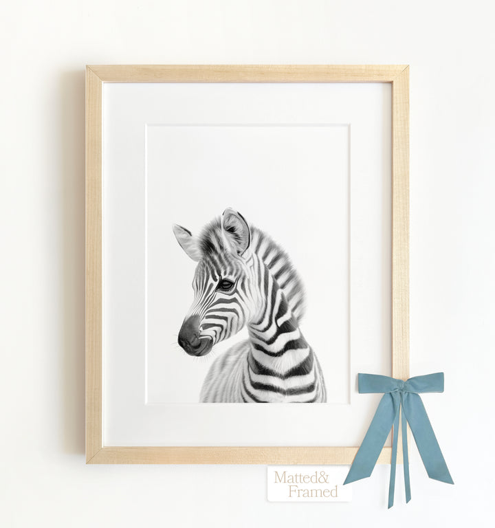 Baby Zebra Framed Art