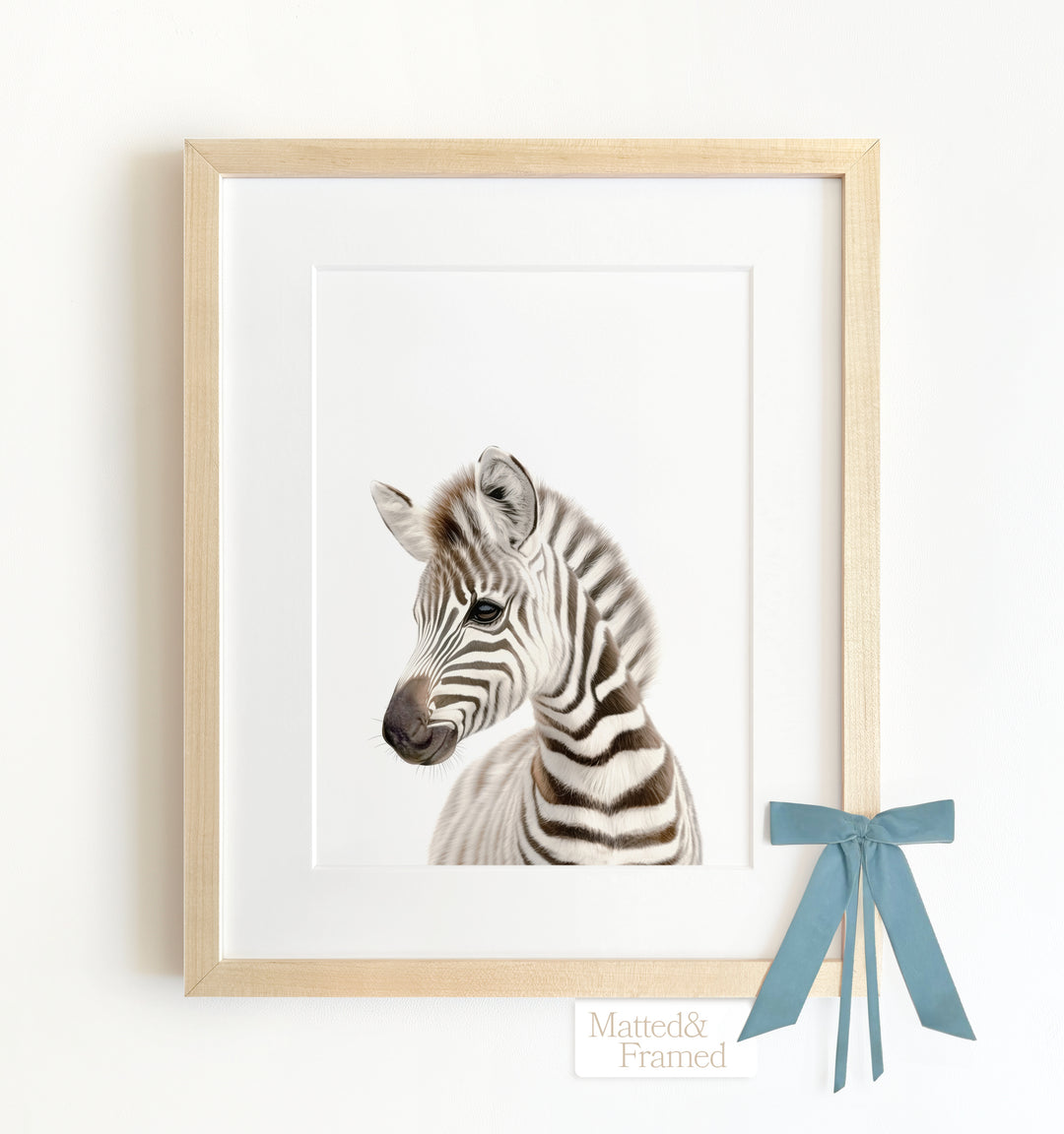 Baby Zebra Framed Art