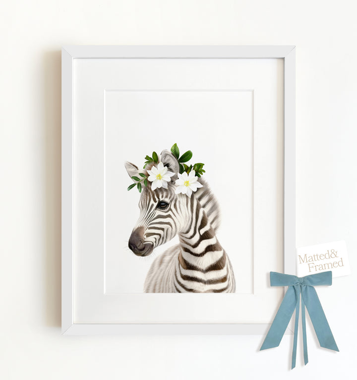 Baby Zebra Framed Art