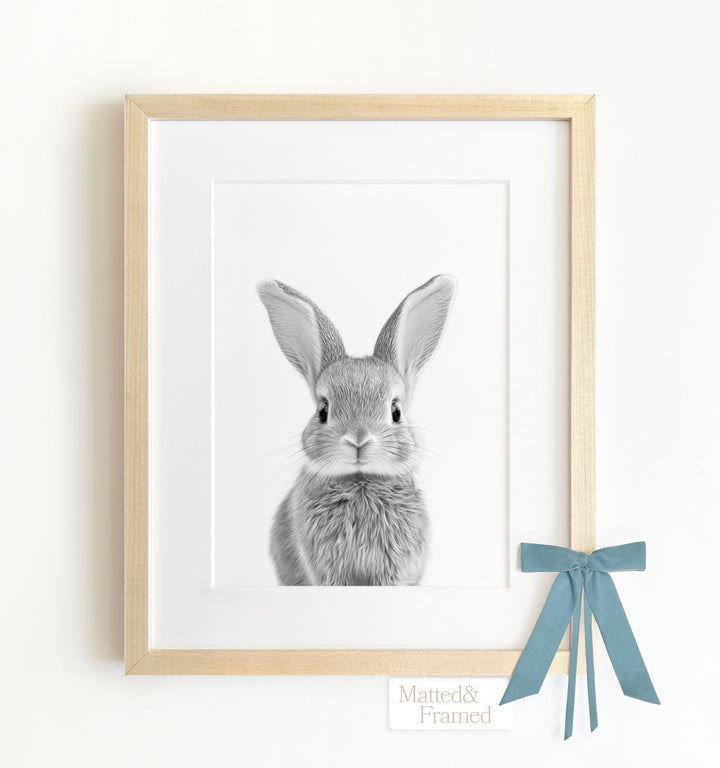 Baby Rabbit Framed Art