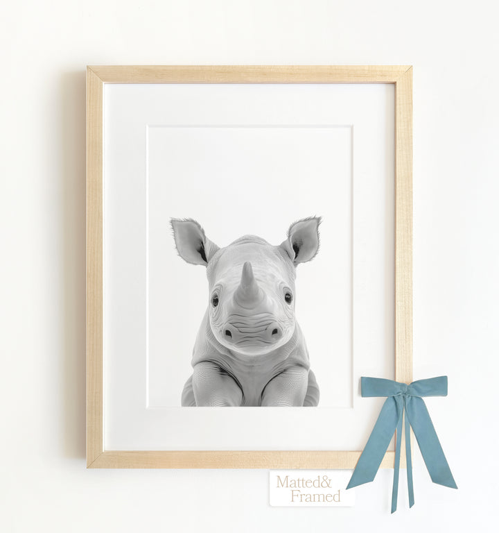 Baby Rhino Framed Art