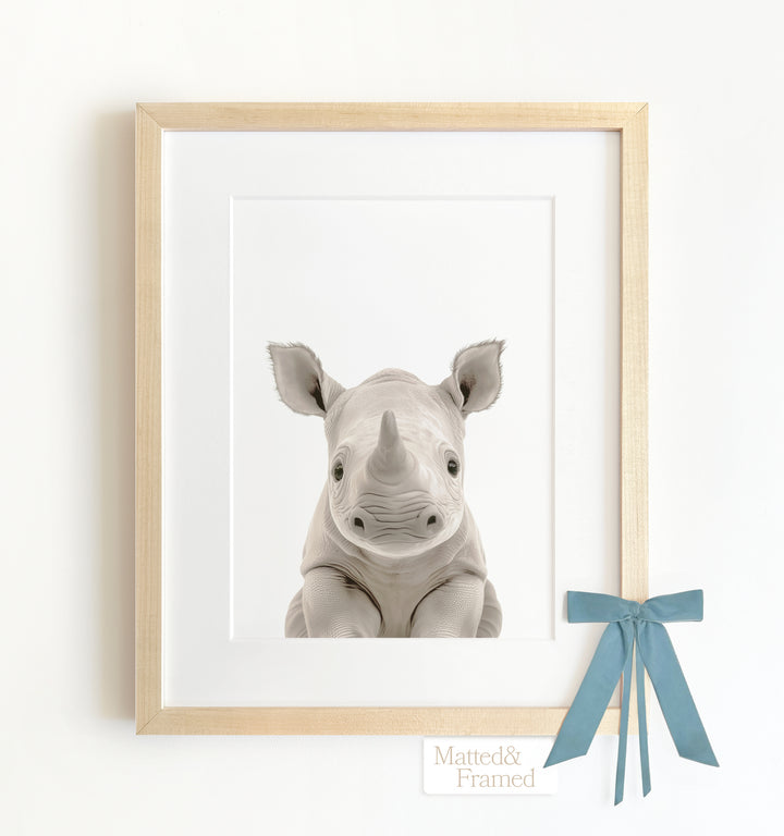 Baby Rhino Framed Art