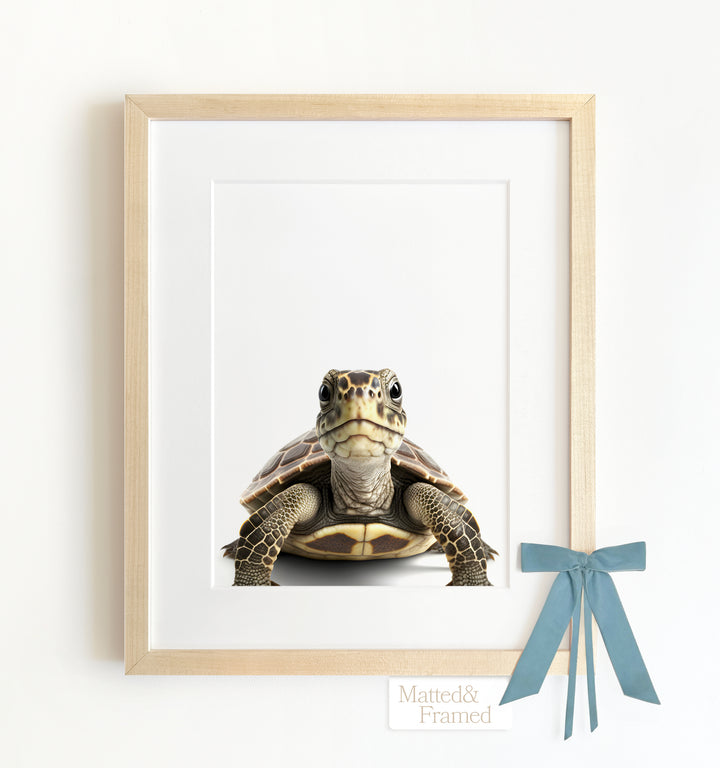 Baby Turtle Framed Art