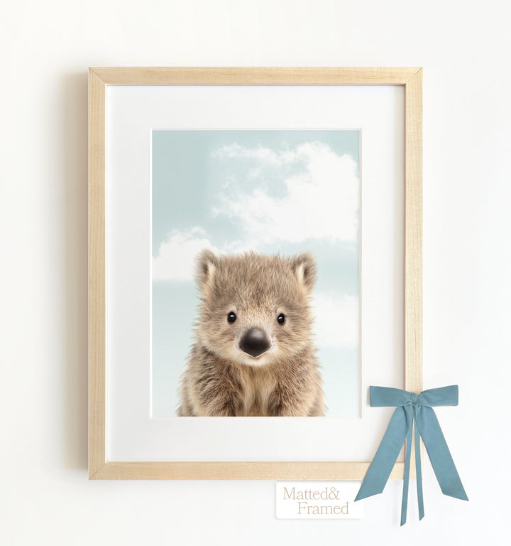 Baby Wombat Framed Art