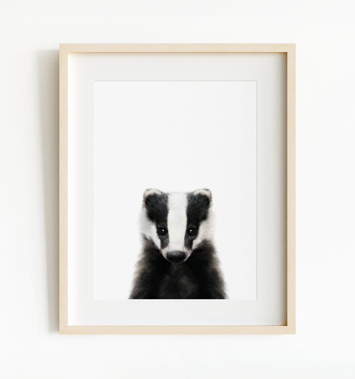 Baby Badger