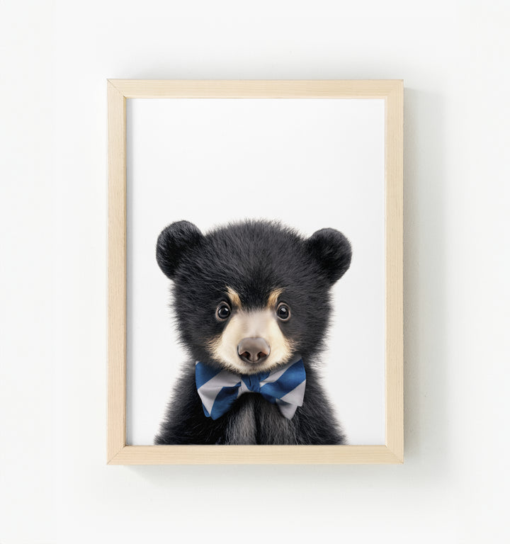 Baby Black Bear Framed Canvas