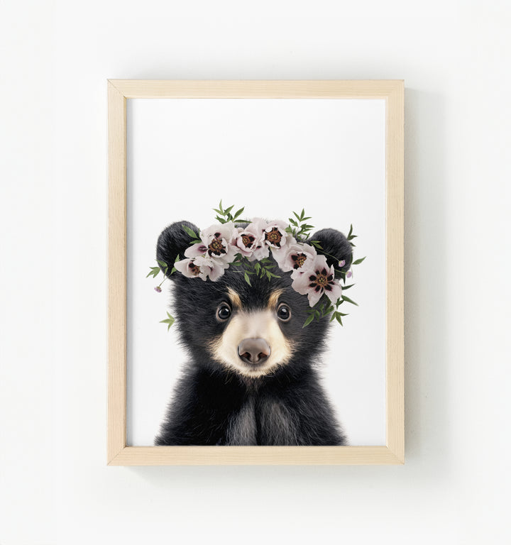 Baby Black Bear Framed Canvas