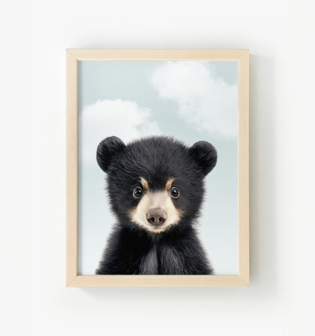 Baby Black Bear Framed Canvas