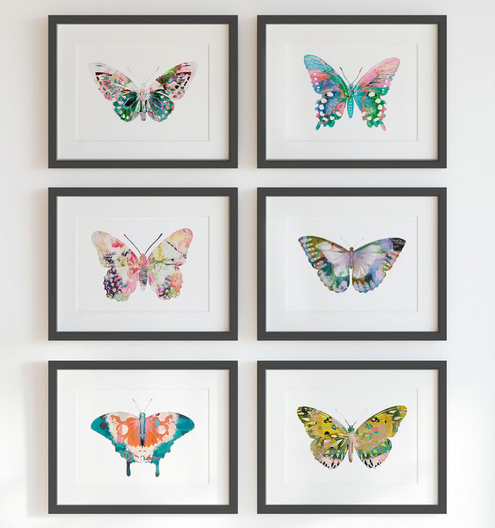 Butterfly Art Prints Set of 6 Framed Prints