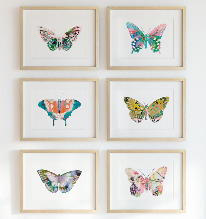 Butterfly Art Prints Set of 6 Framed Prints