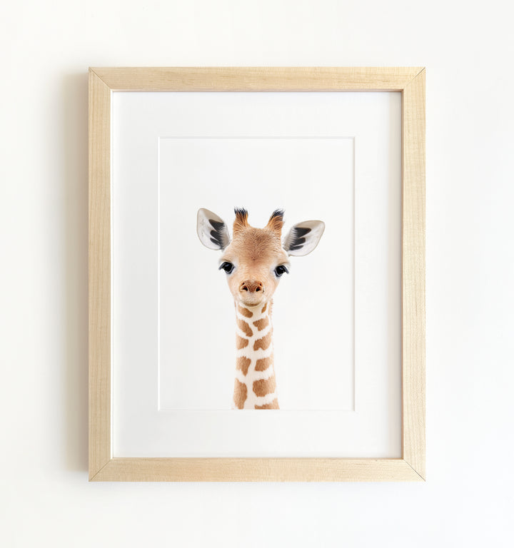 Framed Baby Safari Animals Nursery Decor - African Animals Set of 6