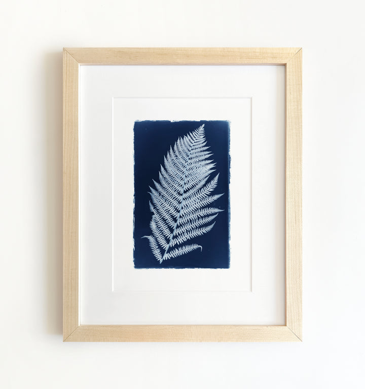 Botanical Cyanotype No. 3