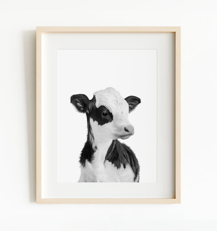 Baby Cow