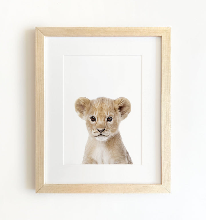 Framed Baby Safari Animals Nursery Decor - African Animals Set of 6