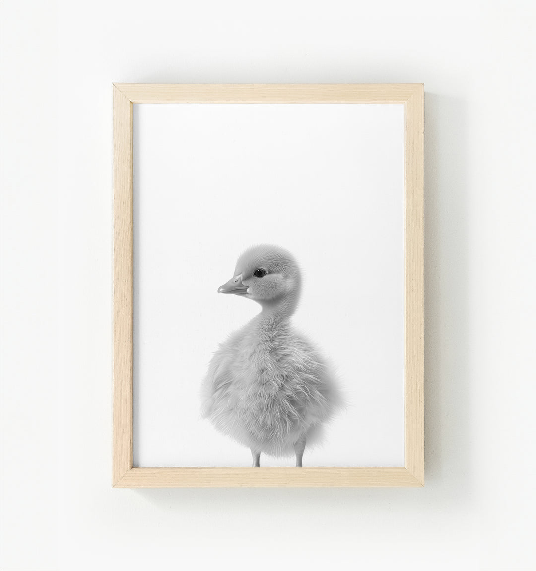 Baby Duckling Framed Canvas