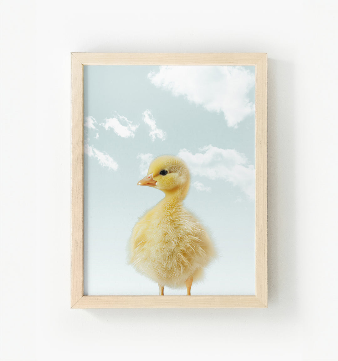 Baby Duckling Framed Canvas