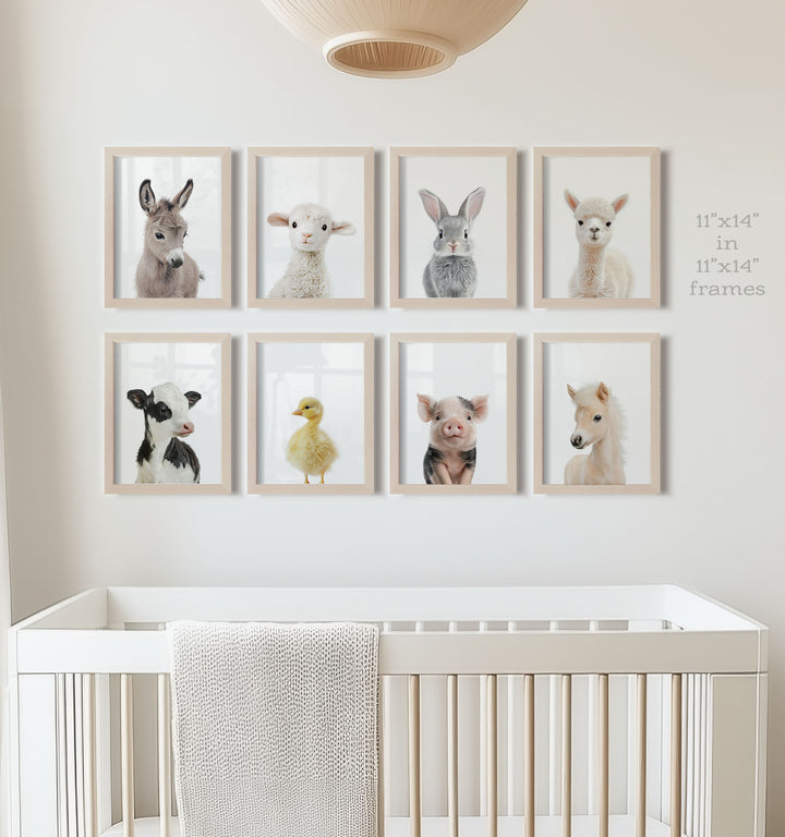 Farm Animals - Set of 8 baby animals Nursery Decor